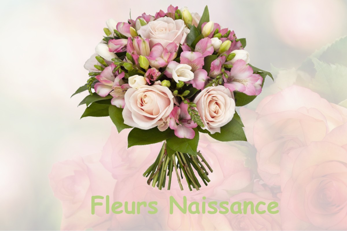 fleurs naissance FRESNOY-AU-VAL